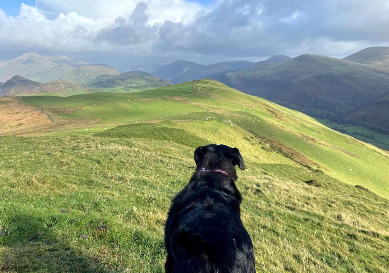 Bryn-crug The Barn At Geufron Farm - Dog Friendly - Nr Tywyn 빌라 외부 사진