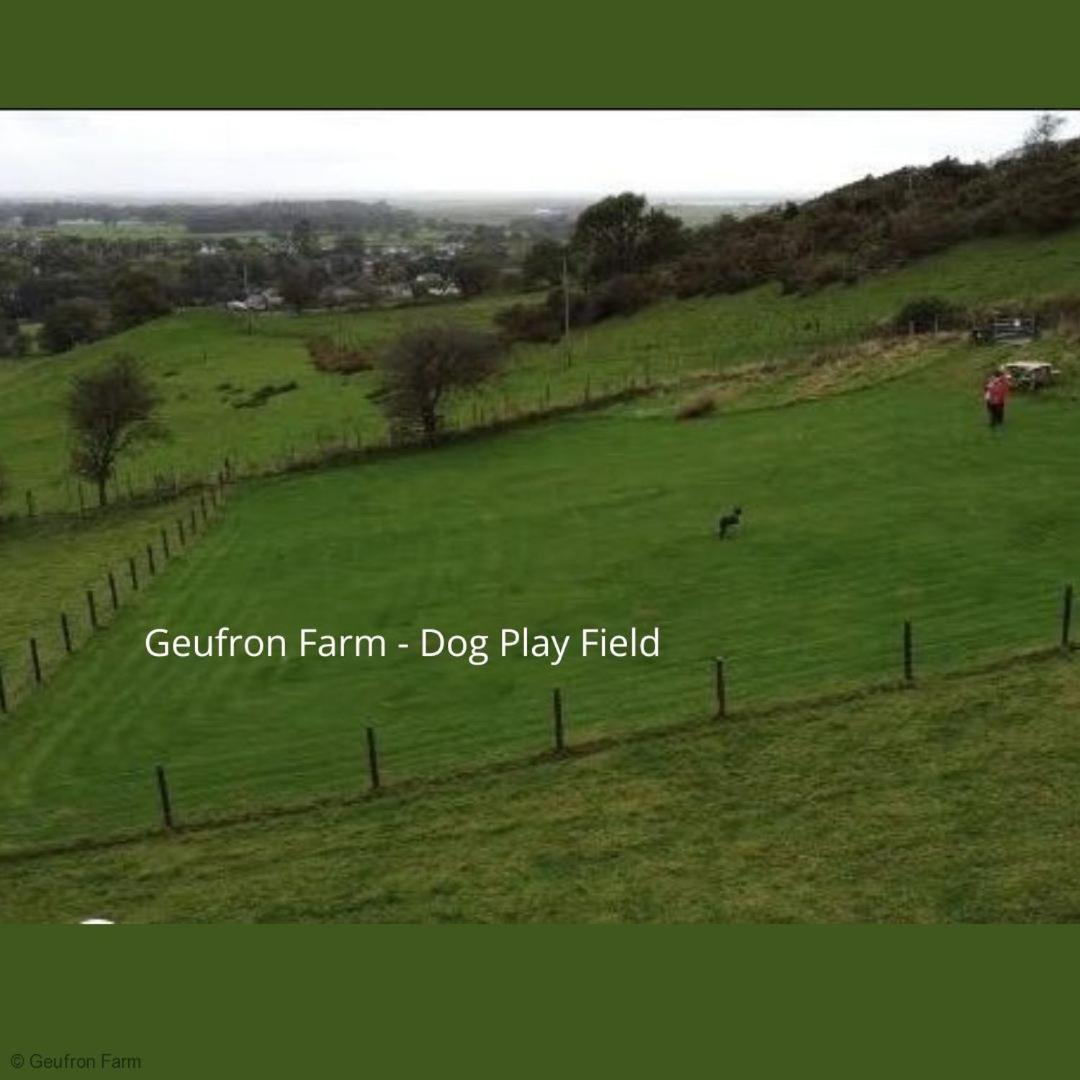 Bryn-crug The Barn At Geufron Farm - Dog Friendly - Nr Tywyn 빌라 외부 사진