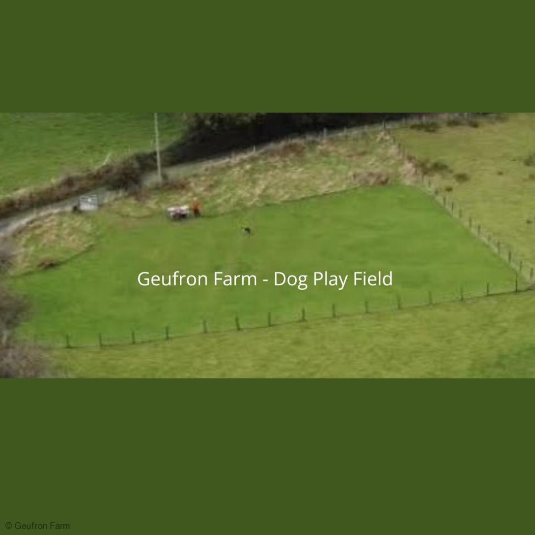 Bryn-crug The Barn At Geufron Farm - Dog Friendly - Nr Tywyn 빌라 외부 사진